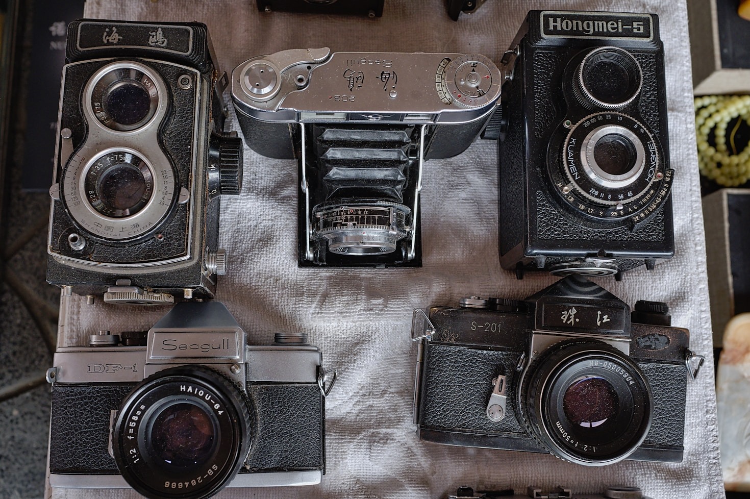 50 Years of Photography: A Passionate Journey